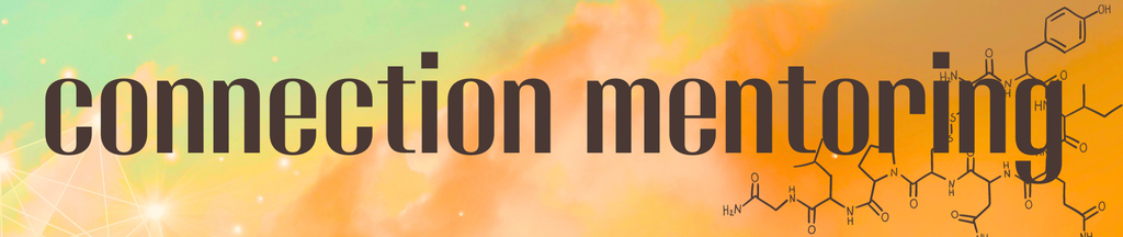 MODALIDAD CONNECTION PRO (20 Y 21 de Abril)